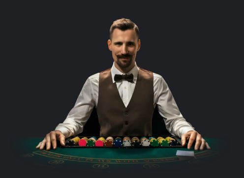 377 bet com
