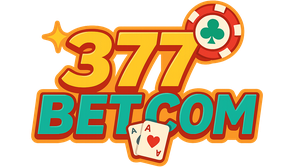 377 bet com